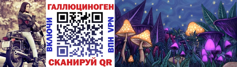 наркошоп  Нурлат  Галлюциногенные грибы мухоморы 