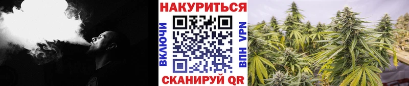 Конопля индика  купить закладку  Нурлат 